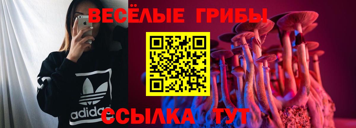 Псилоцибиновые грибы MAGIC MUSHROOMS  Вход с VPN  Урус-Мартан 
